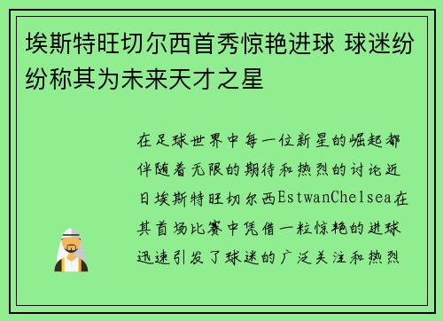 埃斯特旺切尔西首秀惊艳进球 球迷纷纷称其为未来天才之星